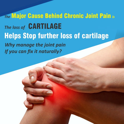 ointFix-repairs-Cartilage-Naturally